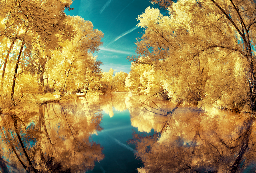 Infrared Photography with David Keochkerian