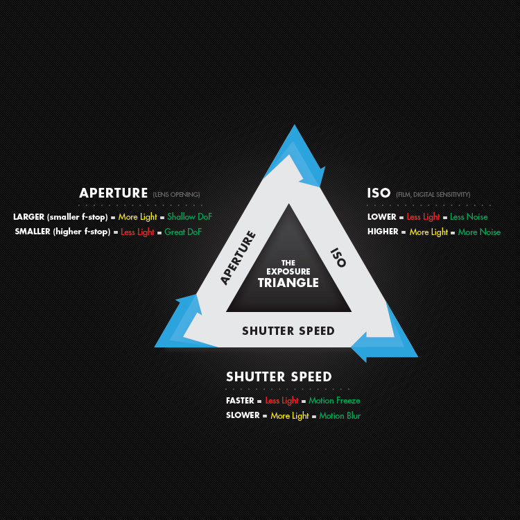 What is Exposure? An Adventure in Aperture, Shutter Speed, and ISO