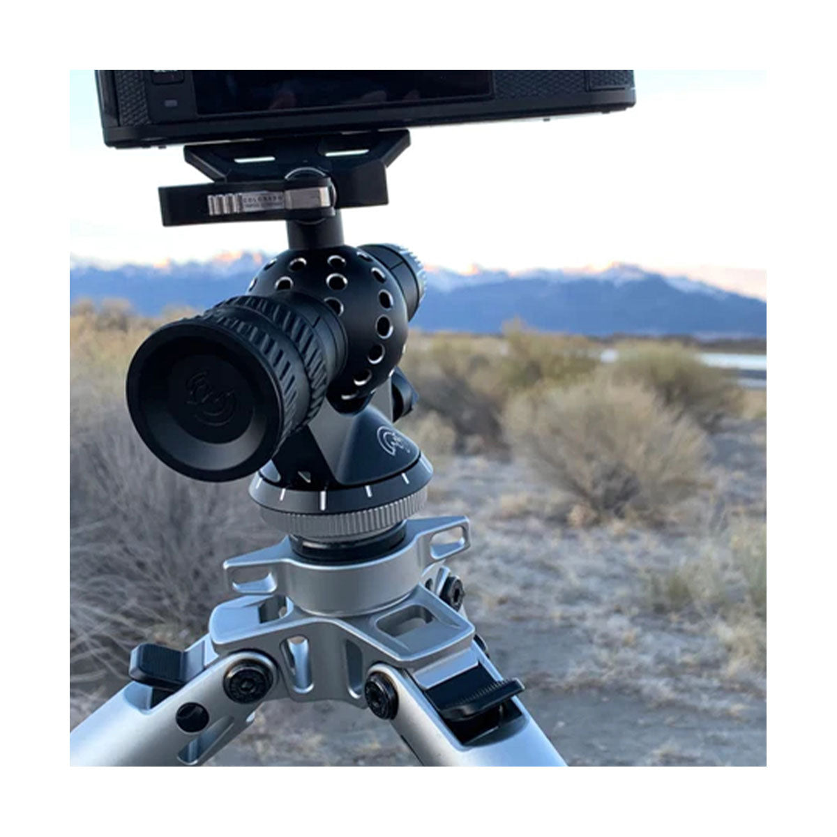 Colorado Tripod Aspen Aluminum Ballhead