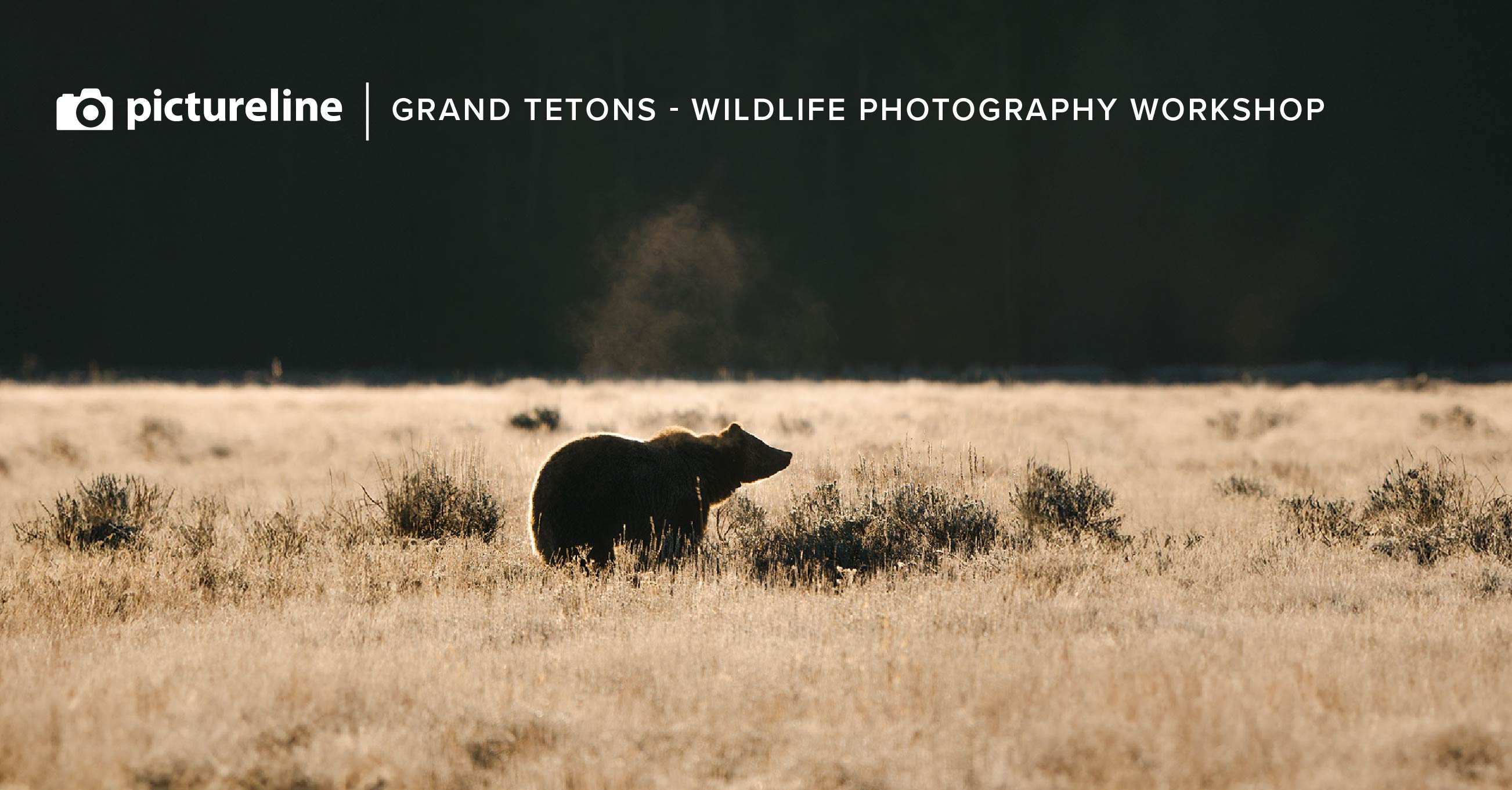 "Capture The Wild" in Grand Teton National Park – June 9th - 12th, 2025