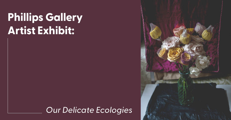 Phillips Gallery Exhibit: Our Delicate Ecologies