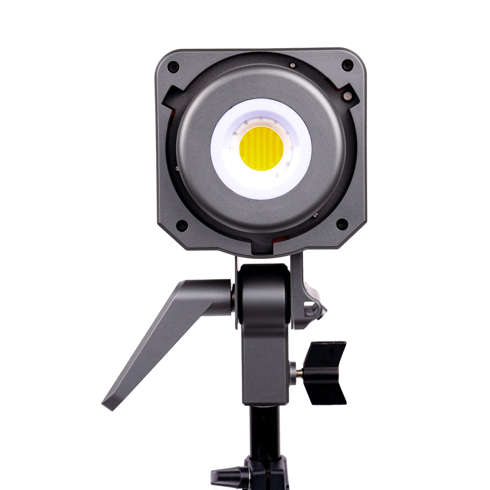 Amaran 100x Bi-Color LED Light