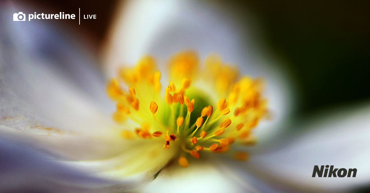 Backyard Macro with Nikon Rep Tony Krup (Online, Friday Dec. 11, 2020)