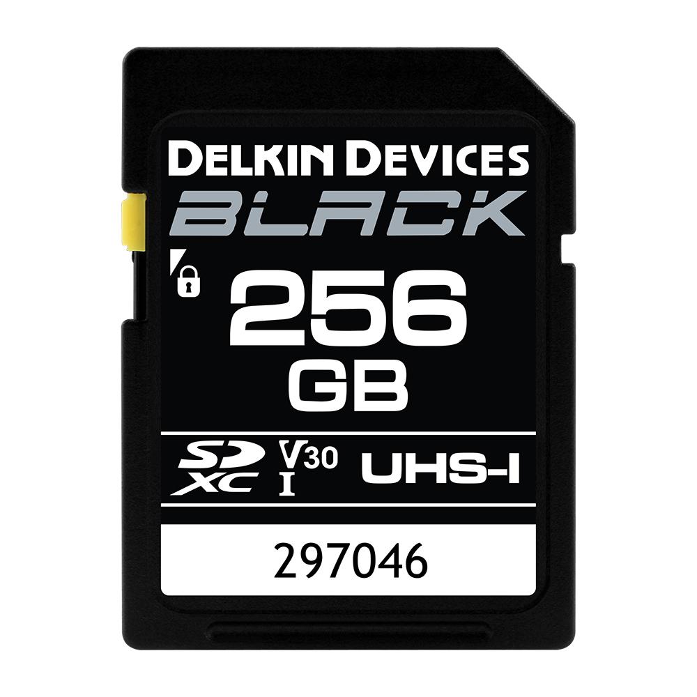 Delkin 256GB SDXC Black Memory Card SD UHS-I (V30)