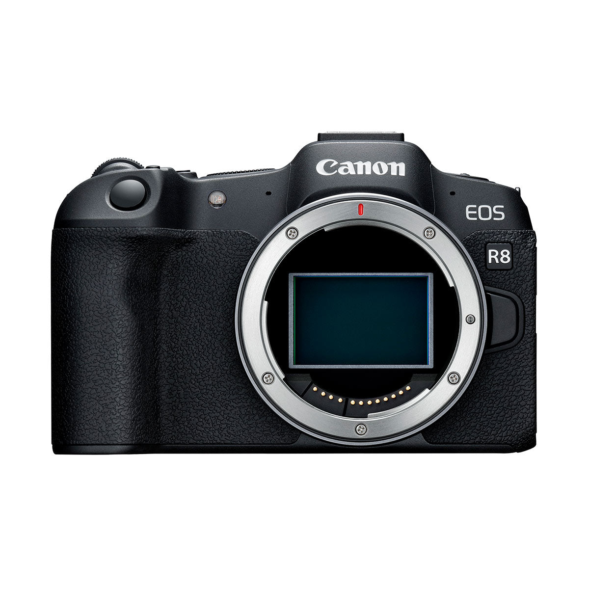 Canon EOS R8 Mirrorless Camera with RF 24-50mm f/4.5-6.3 IS STM Lens