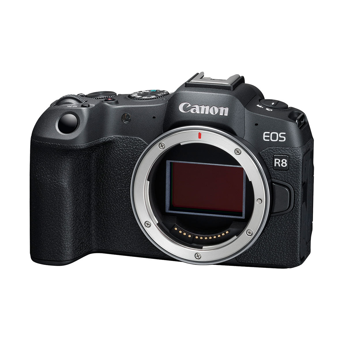 Canon EOS R8 Mirrorless Camera Body