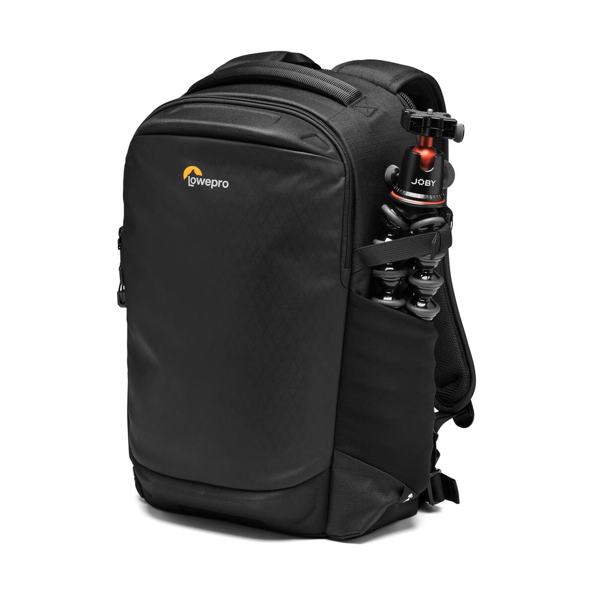 Lowepro Flipside 300 AW III Camera Backpack (Black)