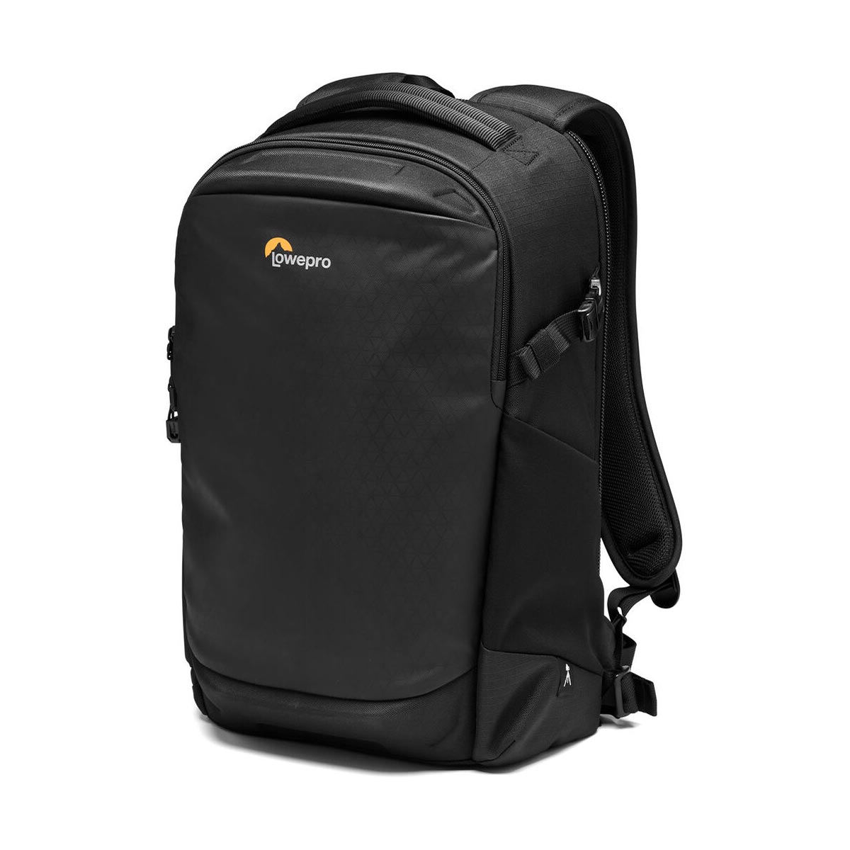 Lowepro Flipside 300 AW III Camera Backpack (Black)