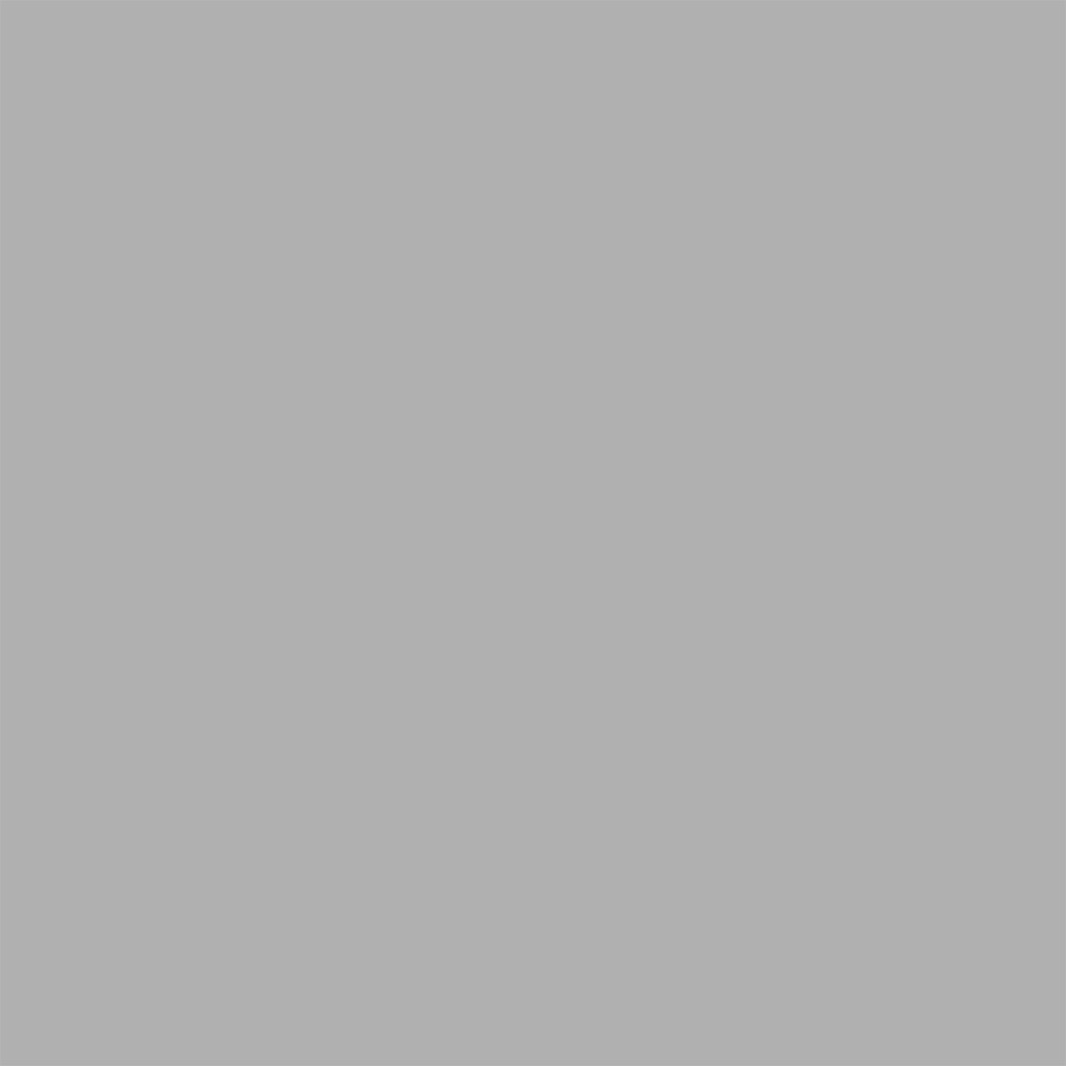 Superior Fossil Gray 53"x12 Yds. Seamless Background Paper (72)