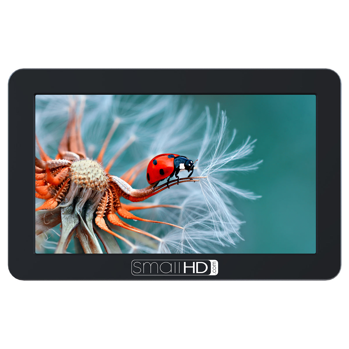 SmallHD FOCUS 5” Touchscreen with Canon LP-E6 Bundle