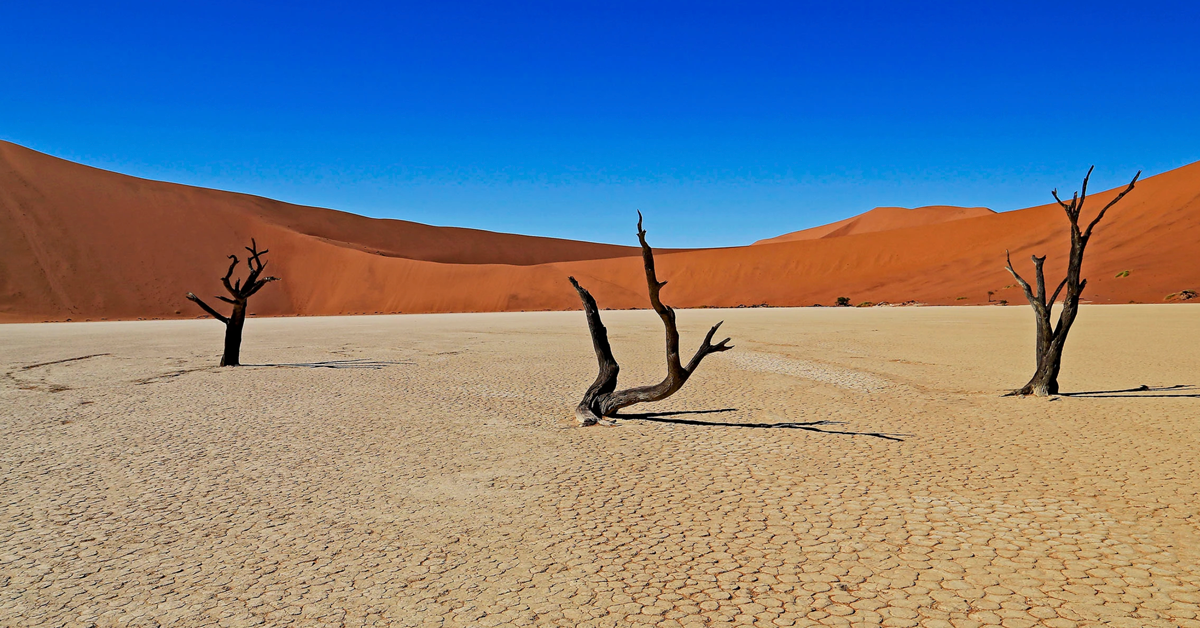 Namibia Tour (May 15-30, 2020)