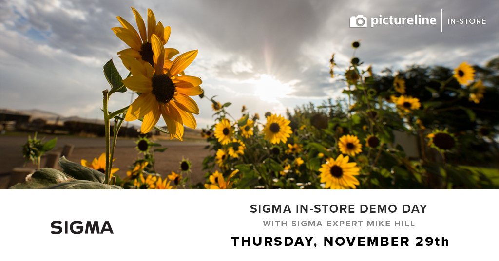 Sigma In-Store Demo Day (November 29th, Thursday)