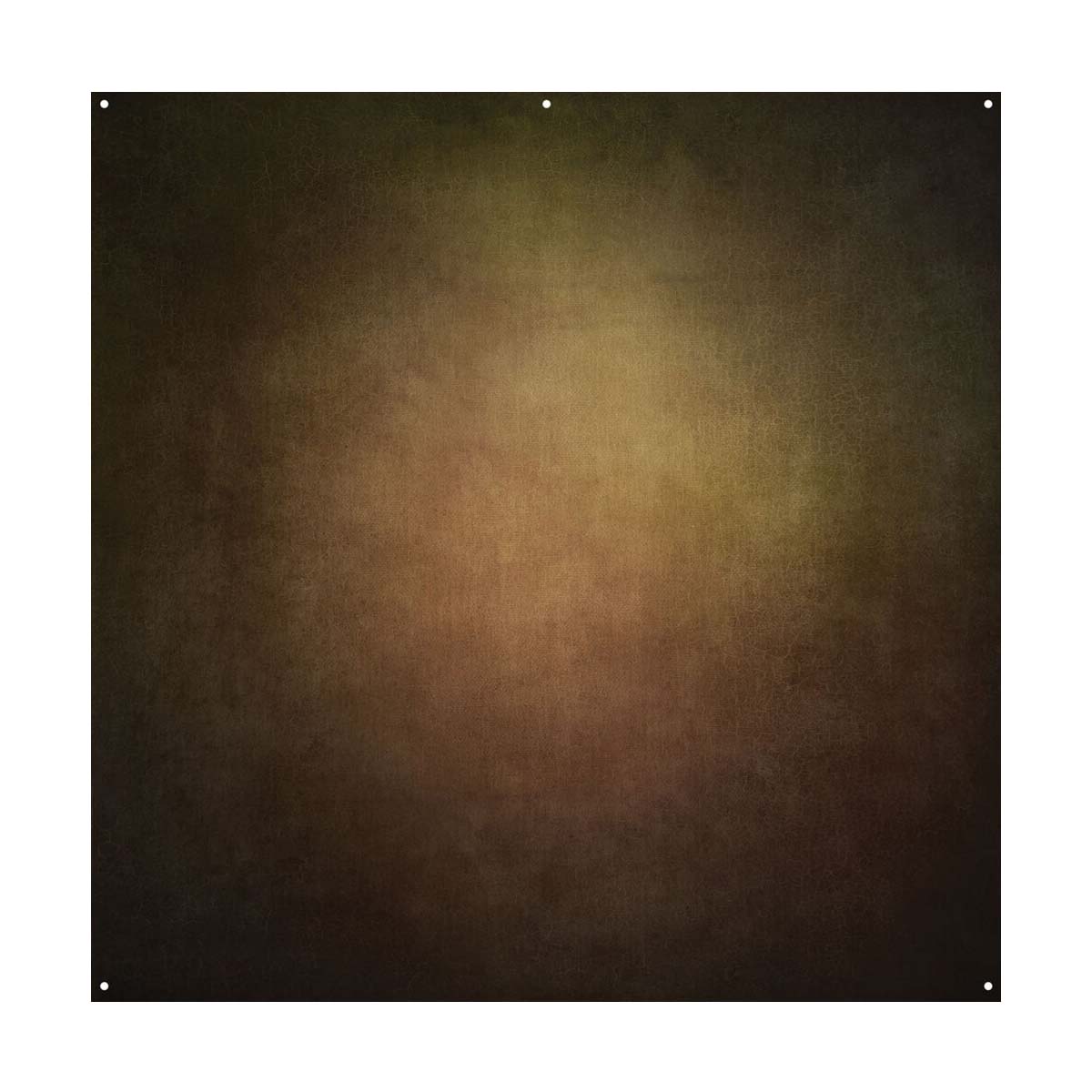 Westcott X-Drop Pro Fabric Backdrop - Warm Painterly by Joel Grimes (8' x 8')