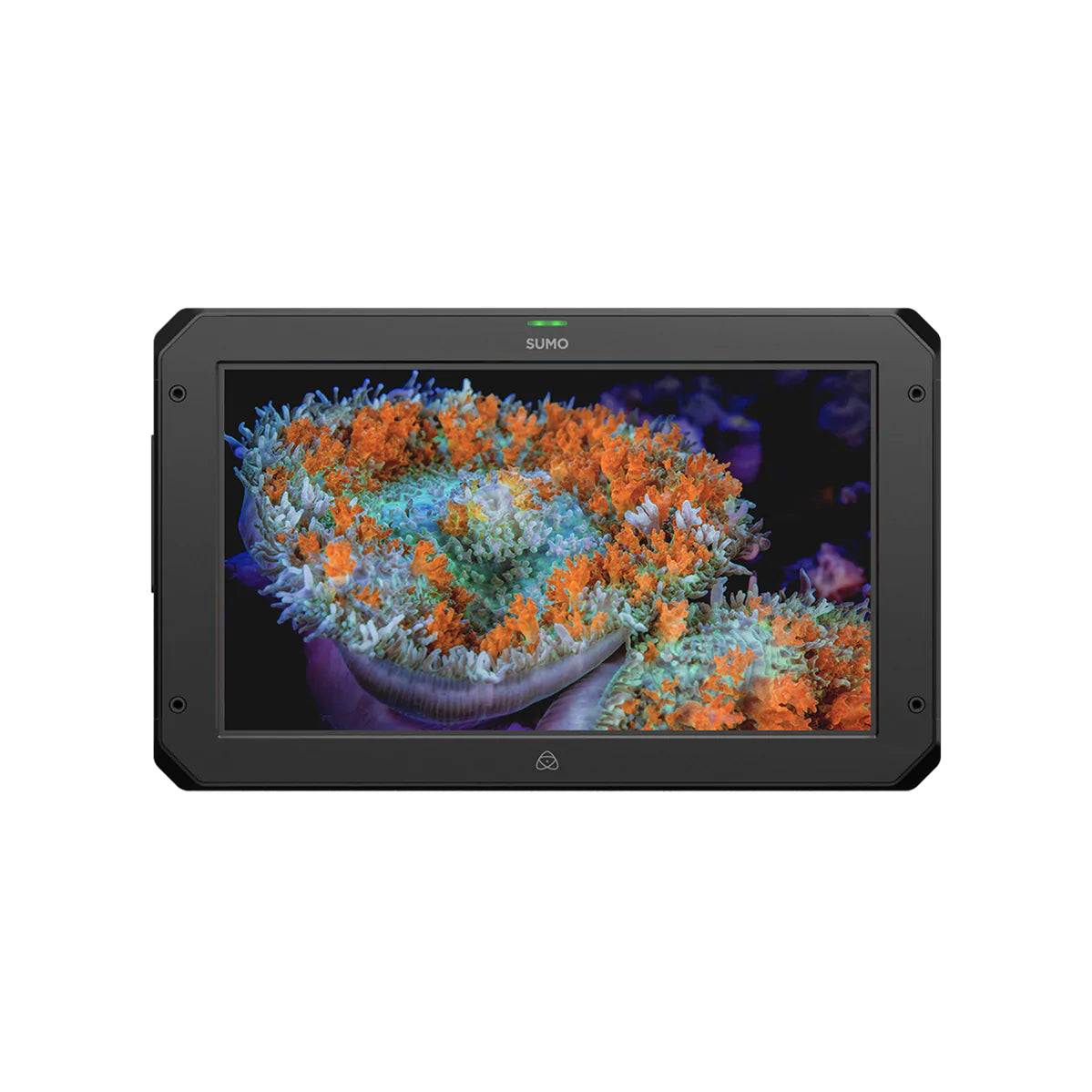 Atomos Sumo 19” Monitor / Recorder