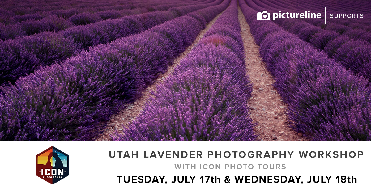 Utah Lavender Photography Workshop with Icon Photo Tours (July 17th & 18th, Tues & Wed 2018)