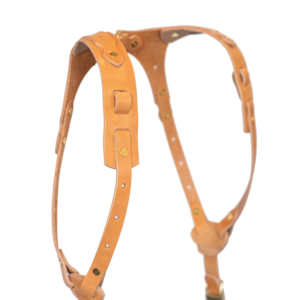 Rose Anvil Drifter Camera Harness (Tan)