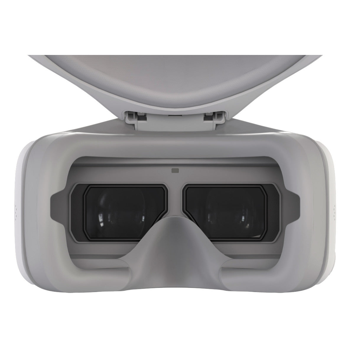 DJI FPV Goggles