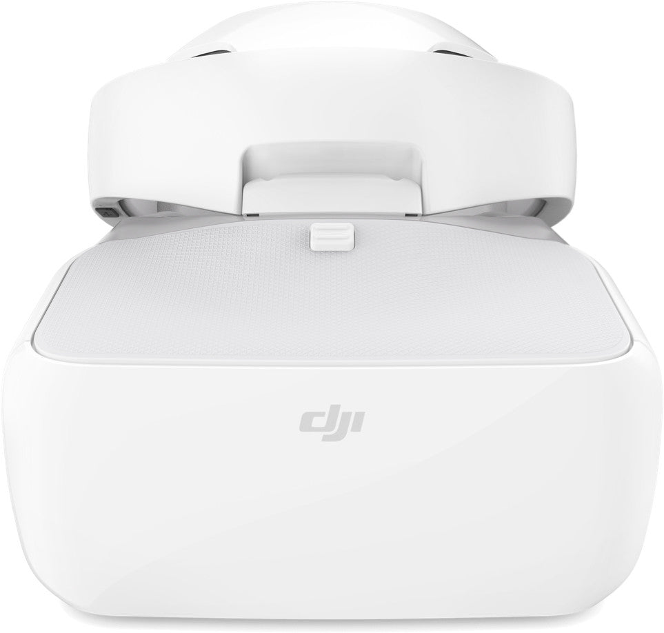 DJI FPV Goggles