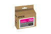 Epson T760320 P600 Vivid Magenta Ink Cartridge (760)