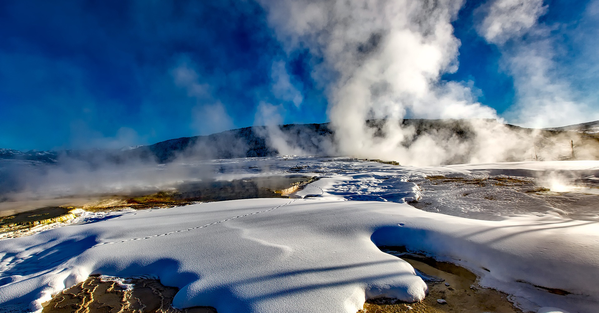 Yellowstone Winter Excursion (January 20-25, 2020)